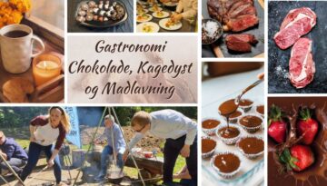 Flere billeder er sat sammen, og flere af dem viser hjemmelavet chokolade og folk, der tilbereder mad udendørs. Der er også opskåret kød. I midten er der en tekst, hvor der står "Gastronomi".