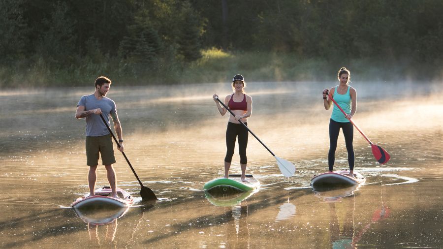 Billedet viser tre personer på paddleboards på en stille sø. De står op og padler, omgivet af natur, mens morgendisen ligger over vandet.