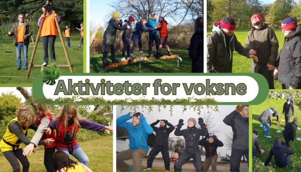 Billedet er en collage, der viser forskellige udendørs aktiviteter for voksne. Deltagerne er engagerede i samarbejdsøvelser, balanceudfordringer og teambuilding-lege. Teksten "Aktiviteter for voksne" understreger temaet.